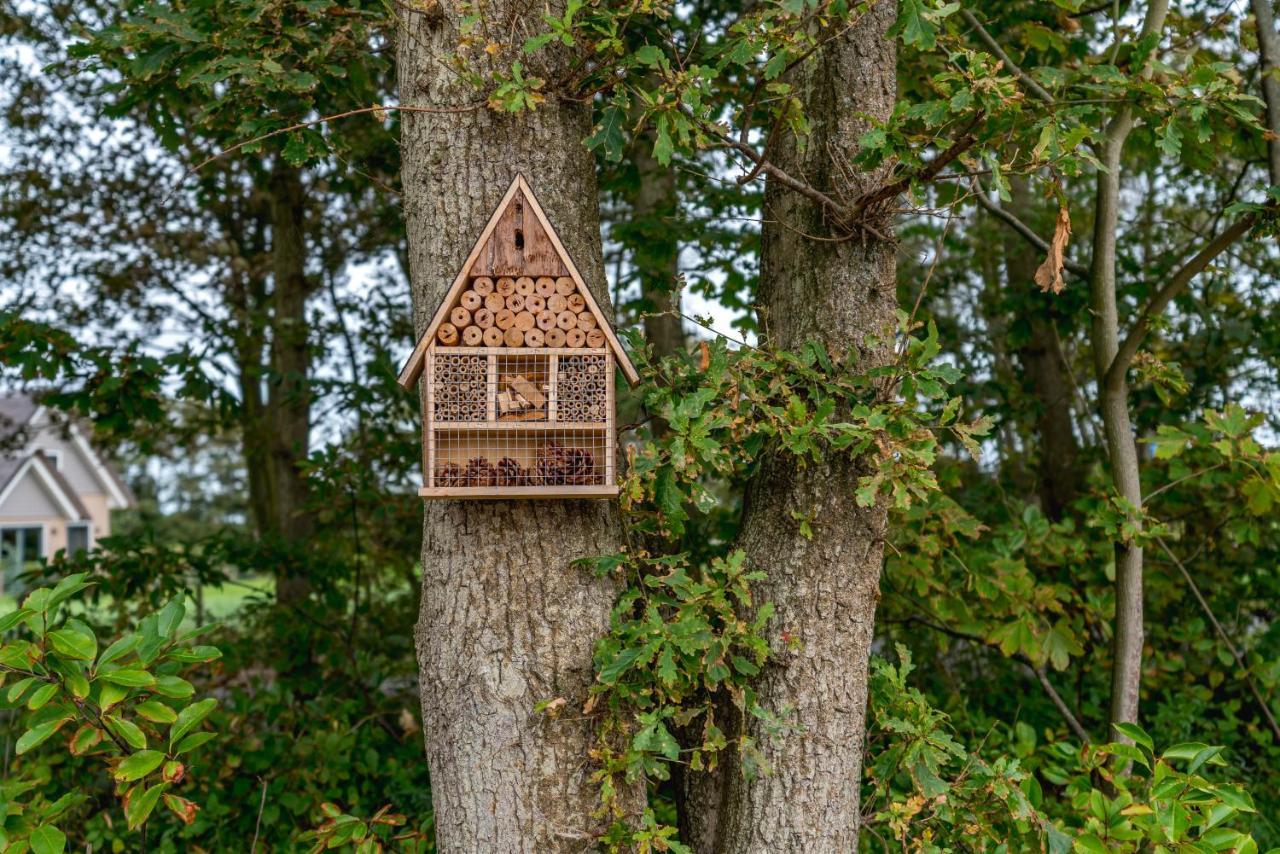 Vakantiewoning De Bleekersvallei De Koog  Eksteriør billede